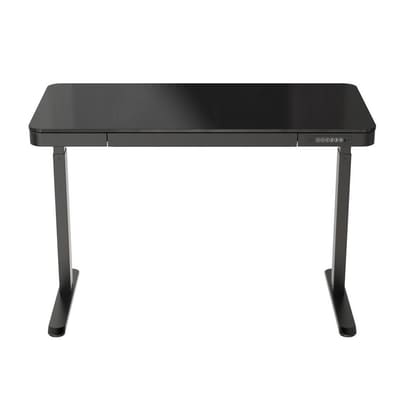 Loctek Height Adjustable Desk