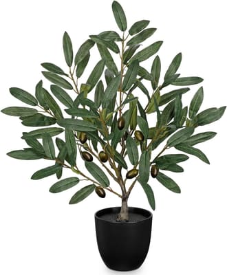 Briful Small Olive Trees Artificial Decor with Black Palstic Pot, Bundle of 2