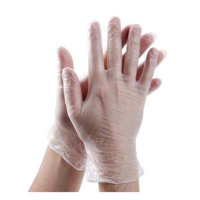 GLOVES, VINYL CLEAR POWDER FREE X-LG 10/100CT